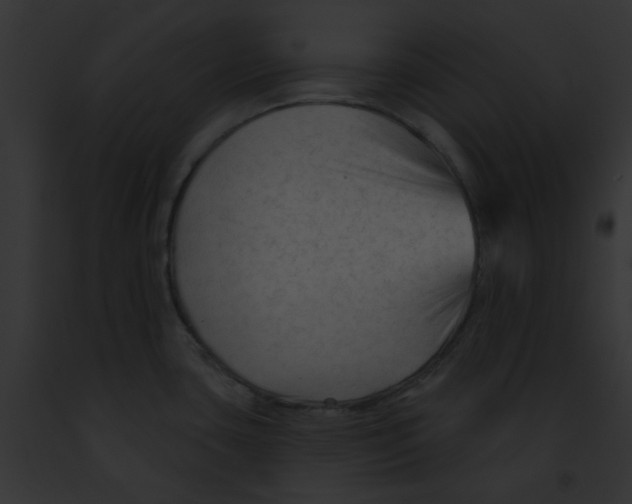 X0000091891435200710031132