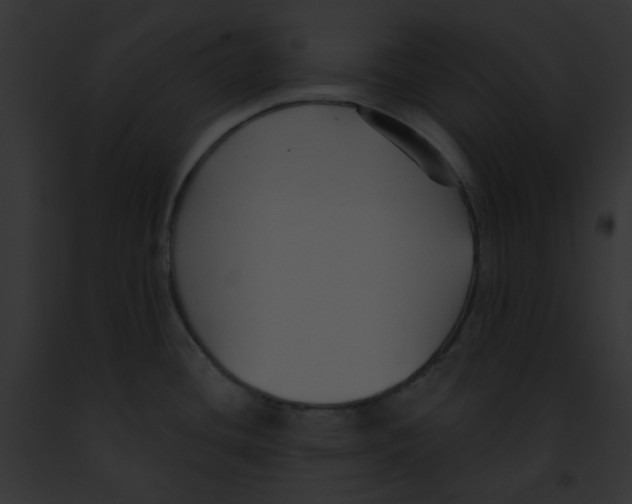 X0000091891436200710031132