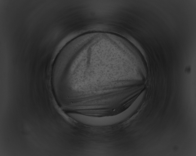 X0000091891437200710031132