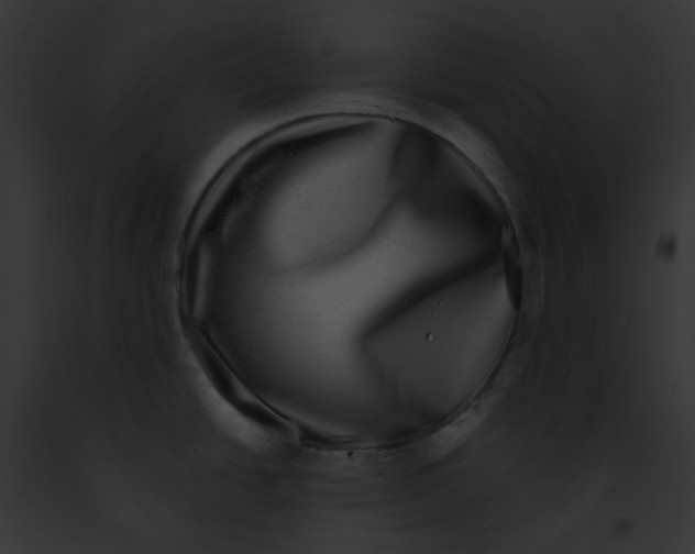 X0000091891438200710031132