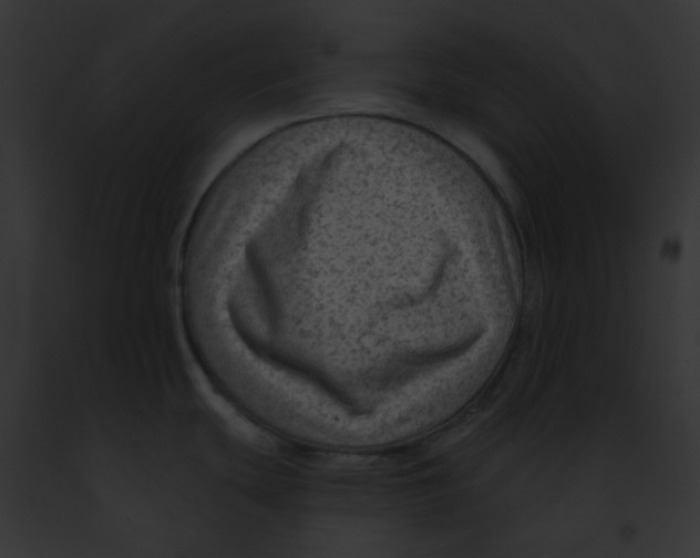 X0000091891439200710031132