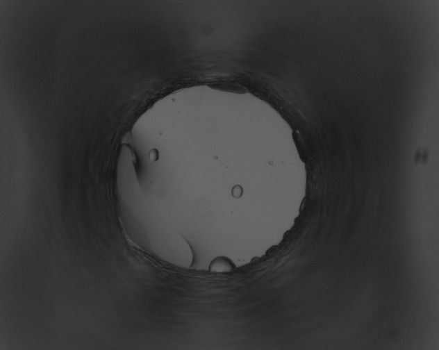X0000091891441200710031132