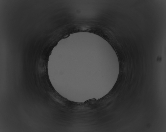 X0000091891442200710031132