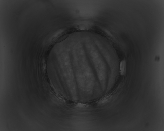 X0000091891443200710031132