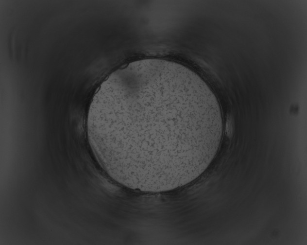 X0000091891444200710031132