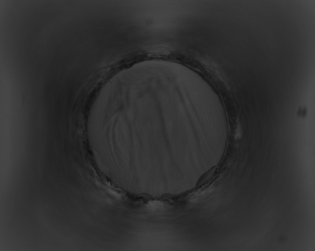 X0000091891445200710031132