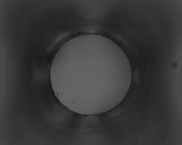 X0000091891446200710031132