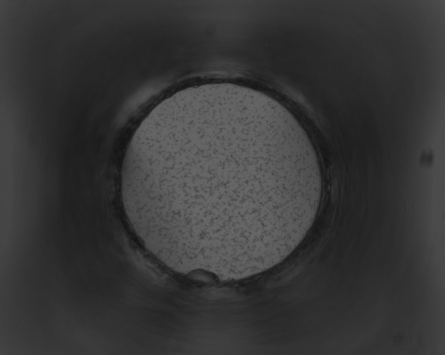 X0000091891448200710031132