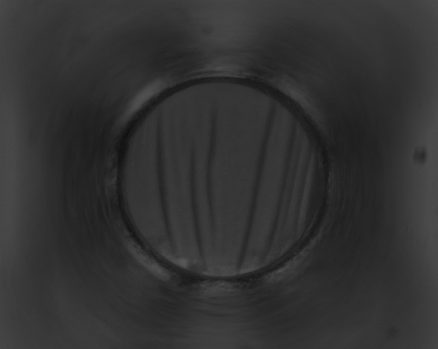 X0000091891450200710031132