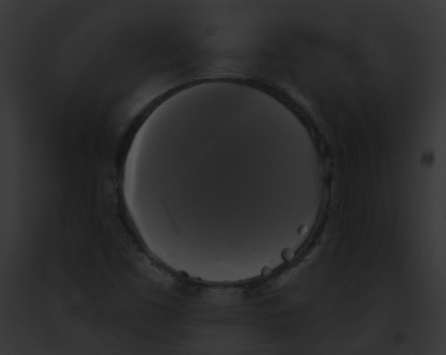 X0000091891453200710031132