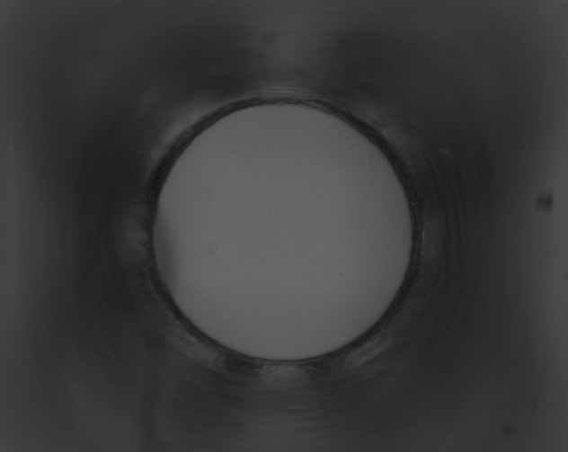 X0000091891454200710031132
