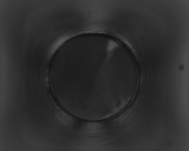 X0000091891455200710031132