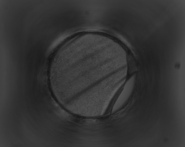 X0000091891456200710031132