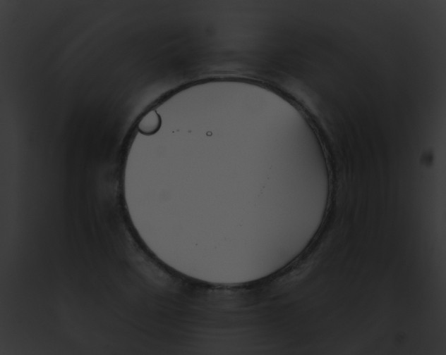 X0000091891458200710031132