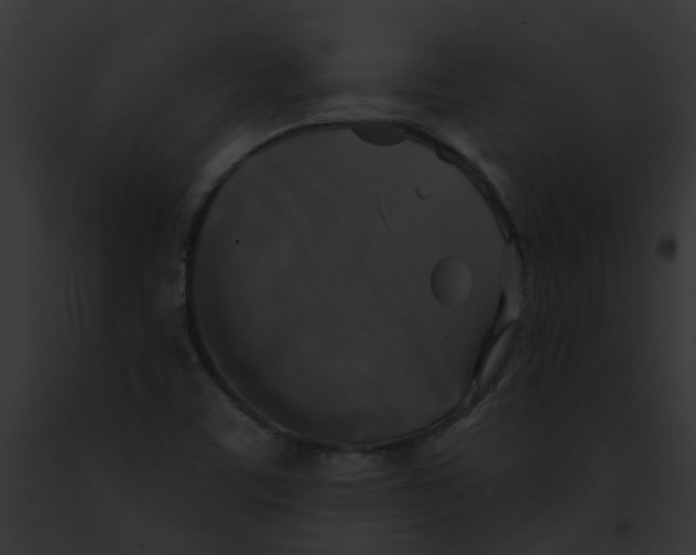 X0000091891459200710031132
