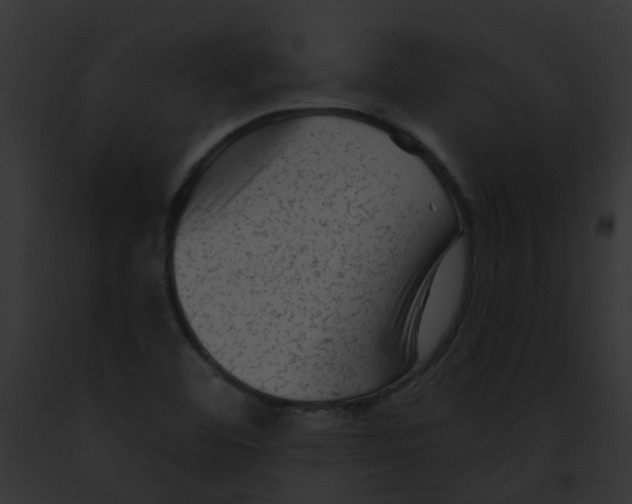 X0000091891460200710031132