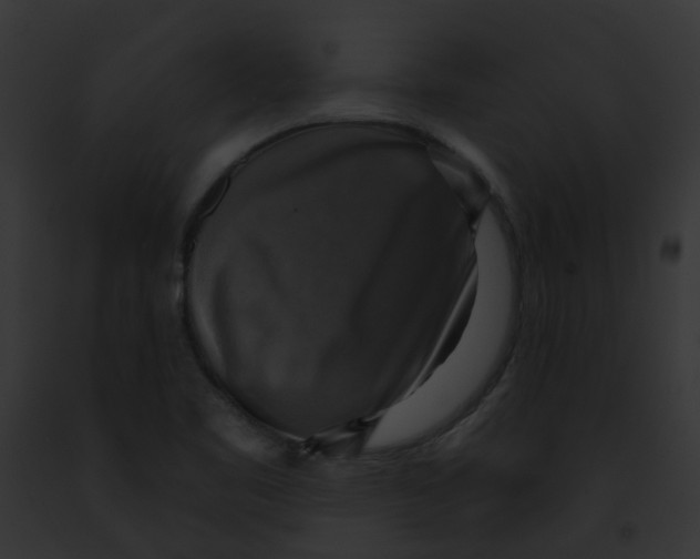X0000091891461200710031132