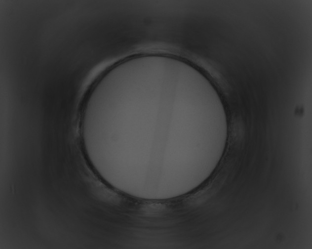 X0000091891462200710031132