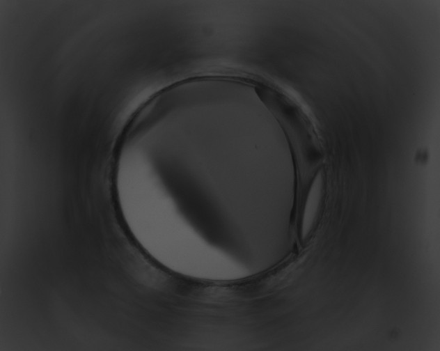 X0000091891463200710031132
