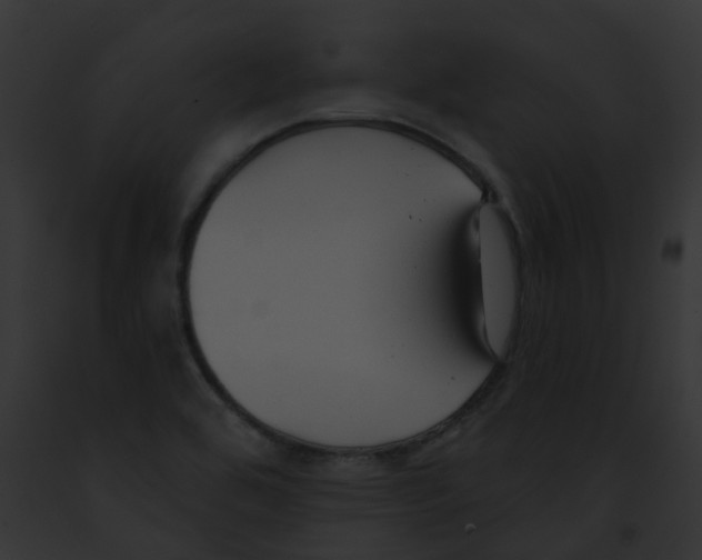 X0000091891464200710031132