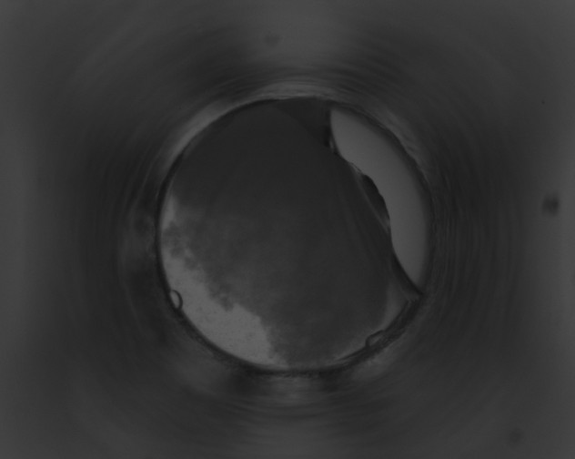 X0000091891465200710031132