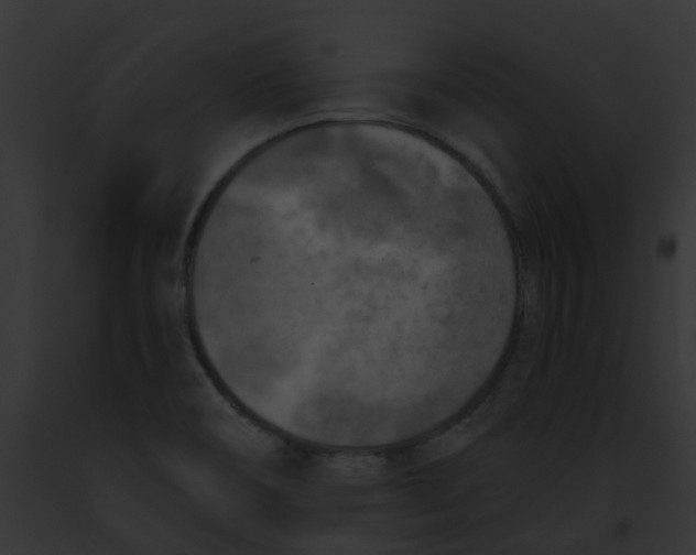 X0000091891466200710031132