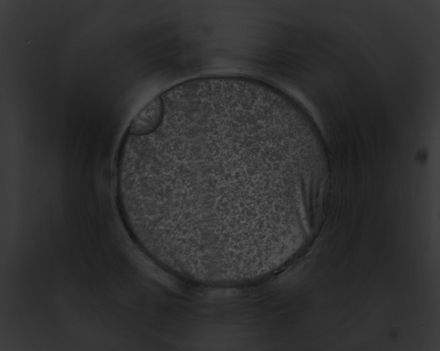 X0000091891467200710031132