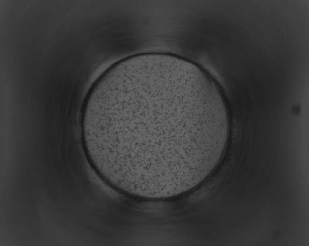 X0000091891468200710031132
