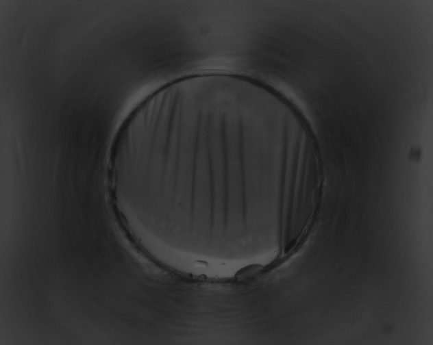 X0000091891469200710031131