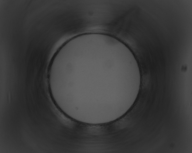 X0000091891470200710031131