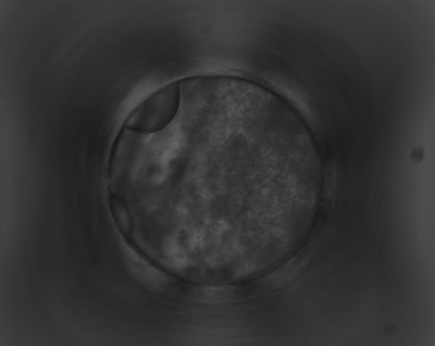 X0000091891471200710031131