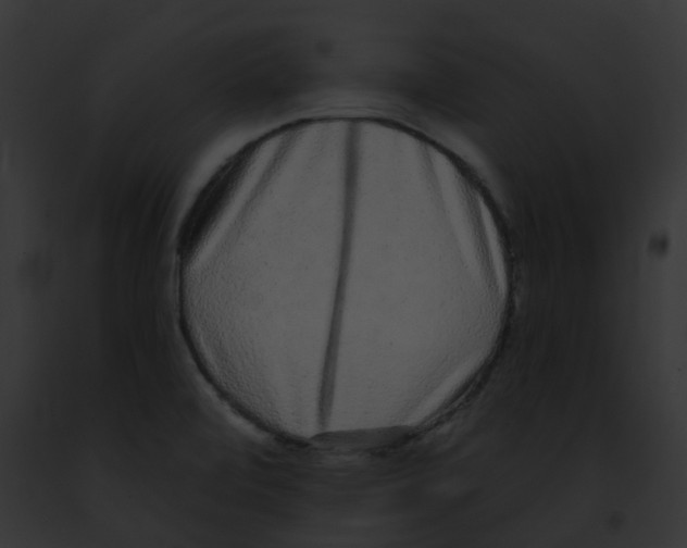 X0000091891472200710031131