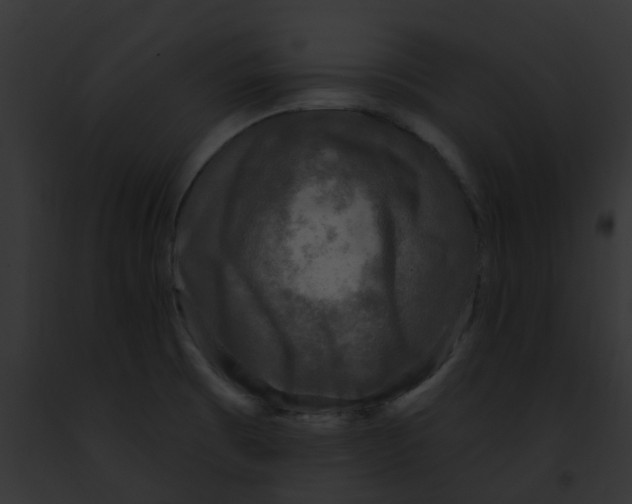 X0000091891473200710031131