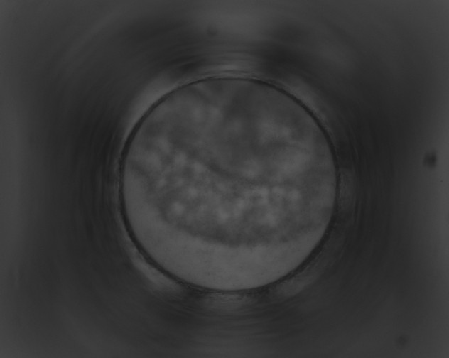 X0000091891474200710031131