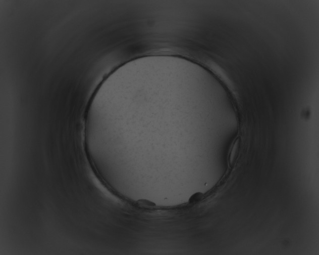 X0000091891476200710031131