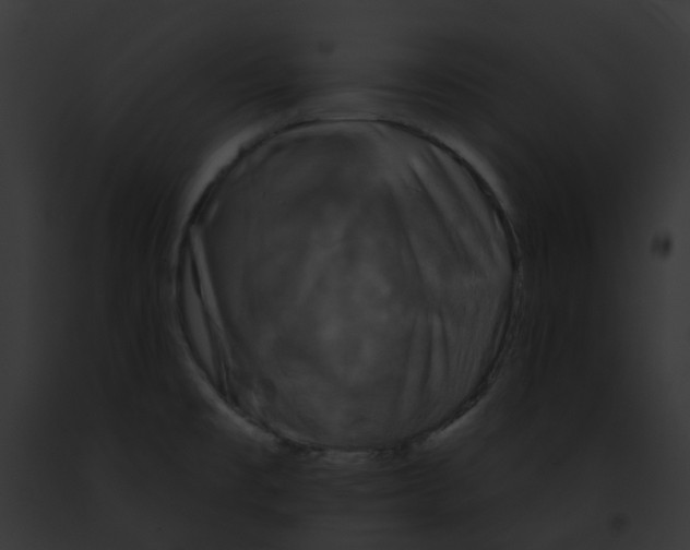 X0000091891477200710031131