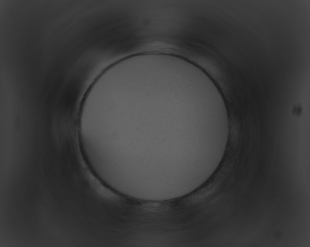 X0000091891478200710031131