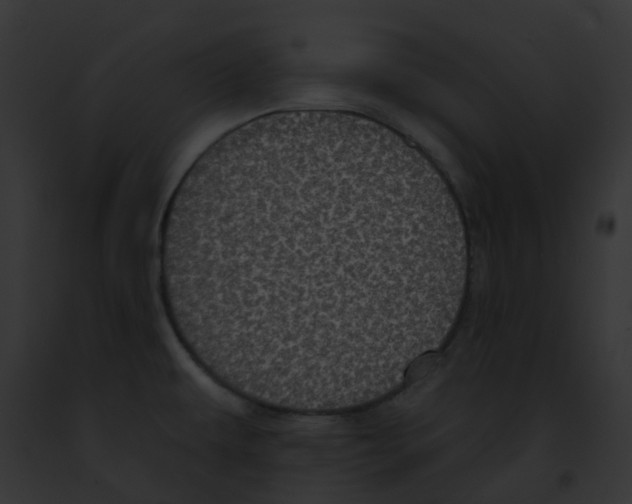 X0000091891479200710031131