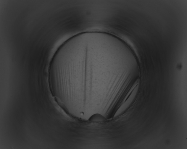 X0000091891480200710031131