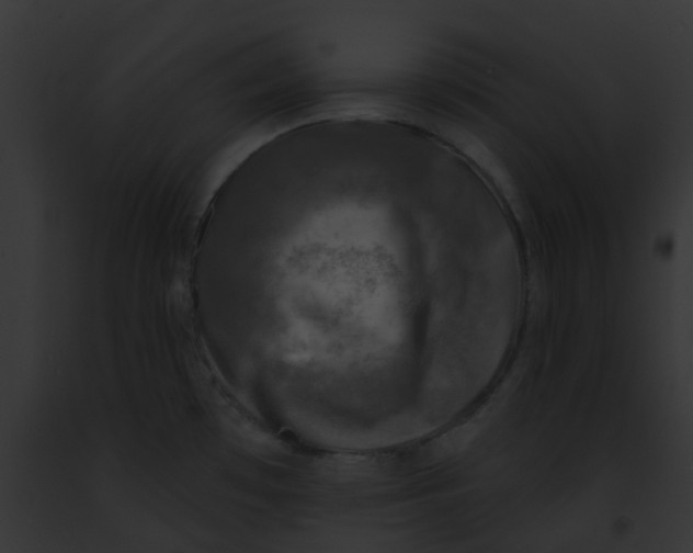 X0000091891481200710031131