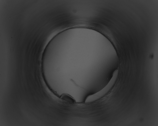 X0000091891483200710031131