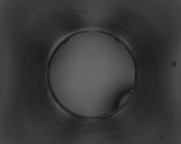 X0000091891484200710031131