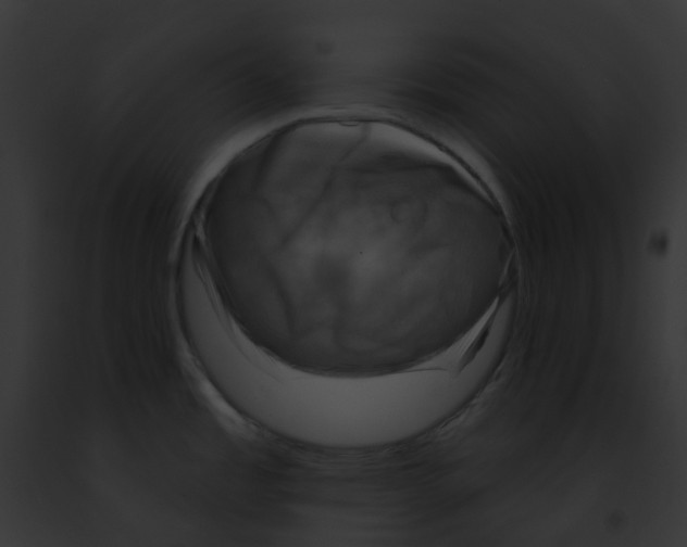 X0000091891485200710031131