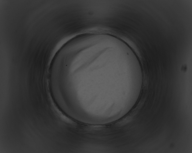 X0000091891486200710031131