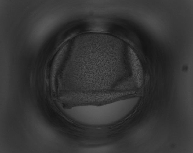 X0000091891487200710031131