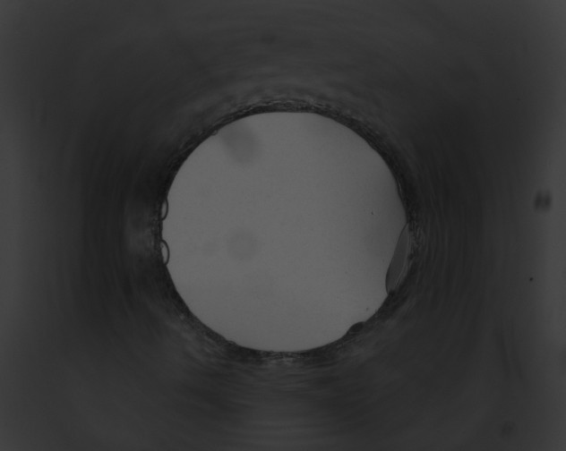X0000091891490200710031131