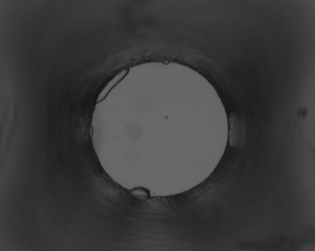 X0000091891491200710031131