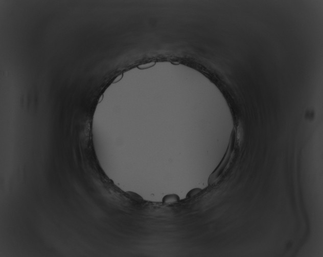 X0000091891492200710031131