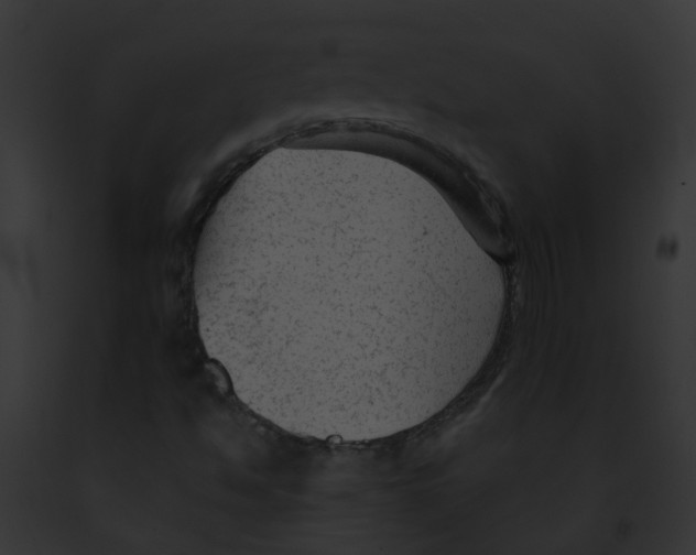 X0000091891494200710031131