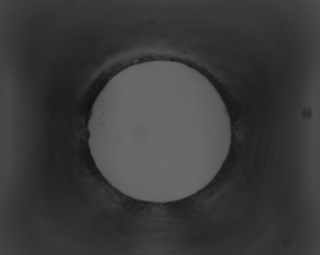 X0000091891495200710031131